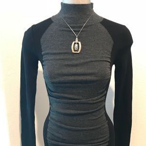 Express Fitted Sweater Dress